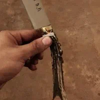 چاقو سازی دانیال باباپور|کوهنوردی و کمپینگ|بندر گز, |دیوار