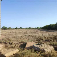 زمین زراعی|فروش دفتر صنعتی، کشاورزی، تجاری|اقبالیه, |دیوار