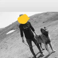 سگ سرابی|سگ|سراب, |دیوار