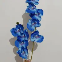 دوشاخه گل ارکیده