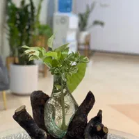 اجاره لاین،واتاق های زیبایی درمطب