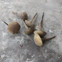 مقدار 6عدد میخ درب چوبی قدیمی