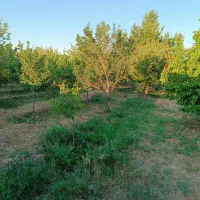 باغ-ویلای3000متری-با-برق-سه-فاز-در-زین-آباد