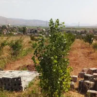 باغ ۱۰۰۰متری نزدیک اسفالت فریدن سفتجان