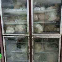 یخچال فریزر.انواع در و میز کار|فروشگاه و مغازه|قزوین, |دیوار