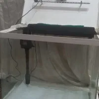 آکواریوم شیشه خم دلسا مدل k500|ماهی|هشتگرد, فاز ۲ مهستان|دیوار