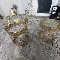 فقس تزینی هم برای پرنده هم مجلس