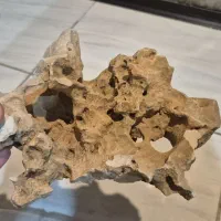 سنگ اکواریوم