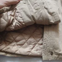 پالتونوکتان|لباس|کرج, گلشهر|دیوار