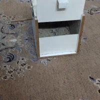 لونه طوطی(راهب برزیلی گرینچیک )|لوازم جانبی حیوانات|تهران, کرمان|دیوار