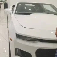 صافکاری و نقاشی PDR نوین