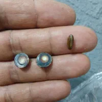 مهره|کتاب و مجله مذهبی|مشهد, زیبا شهر|دیوار