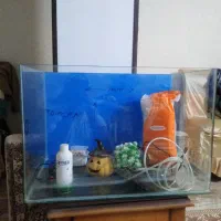 آکواریوم|ماهی|ری, دیلمان|دیوار