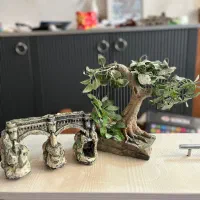 دکوری آکواریم و و شن مخصوص