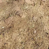 کود گوسفندی