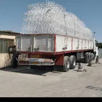 حفاظ شاخگوزنی