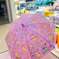 چتر|زیورآلات و اکسسوری|مشهد, عیدگاه|دیوار