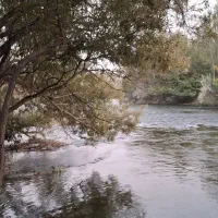 اجاره تخت و سکو کنار رودخانه|اجارهٔ کوتاهمدت ویلا و باغ|سامان, |دیوار