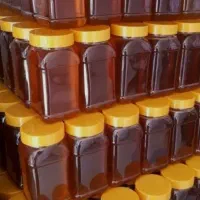 عسل بکر و طبیعی کوهستان طارم