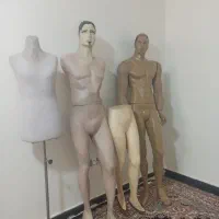 مردانه و زنانه مانکن