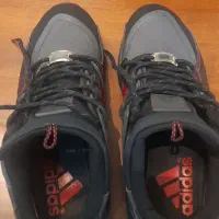 اکومنت گورتکس