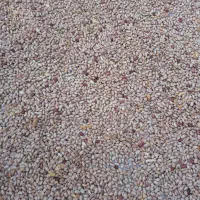 لوبیاچیتی محلی امساله تمیز