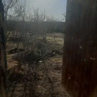 باغچه ۲۵۰متری|فروش زمین و ملک کلنگی|سلفچگان, |دیوار