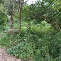 فروش زمین ۵۳۰ متری