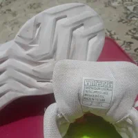 کفش استوک|کیف، کفش، کمربند|سنندج, |دیوار