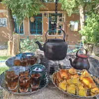 استخدام نیرو