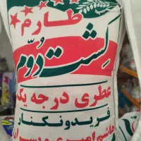 برنج کشت دوم هاشم امیری