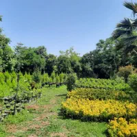 زمین مسکونی  ۱۱۰۰ متر|فروش زمین و ملک کلنگی|چابکسر, |دیوار