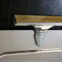 سینی ریجنت آلمان