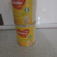 قوطی