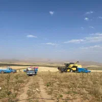 زمین کشاورزی چاه برقی