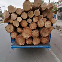 خریدچوب باغی وغیره بابالاترین قیمت وفروش چوب ابزار