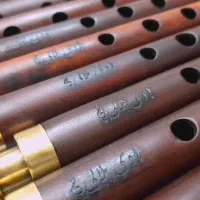 سل کوک  پولیکا|سازهای بادی|مشهد, هنرور|دیوار