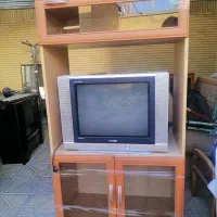 تلویزیون