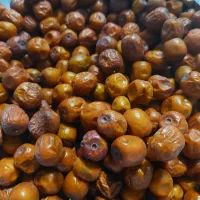 عناب تازه|خوردنی و آشامیدنی|مشهد, فاطمیه|دیوار
