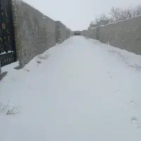 باغچه ۳۰۰ متری شهریار/آماده ساخت/نامه برائت جهاد|فروش زمین و ملک کلنگی|تهران, فلاح|دیوار