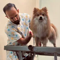 آرایشگر حیوانات و آموزش آرایشگری(عمو اشکان)