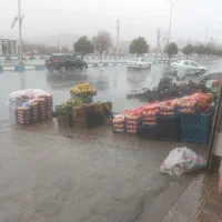 استخدام نیرو