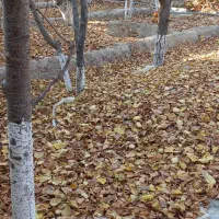 استخدام اکیپ سیمانکار