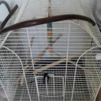 قفس پرنده