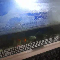 آکواریوم با تمام وسایل