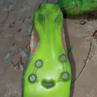 کفش استوک دار چمن|کیف، کفش، کمربند|خرم‌آباد, |دیوار