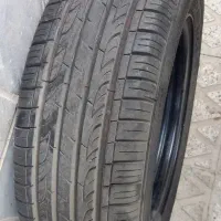 یک حلقه لاستیک گلدستون نو