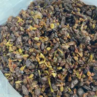 آبغوره و آبلیمو تاکستان|خوردنی و آشامیدنی|تاکستان, |دیوار