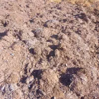 کود کمپوست قارچ|خدمات باغبانی و درختکاری|کلیائی, |دیوار