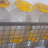 دبه ترشی|ظروف نگهدارنده، پلاستیکی، یک‌بارمصرف|رشت, پارک شهر|دیوار